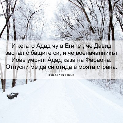 Picture 06 - 3 Царе 11:21 BULG - И когато Адад чу в Египет, - Bible Verse Picture