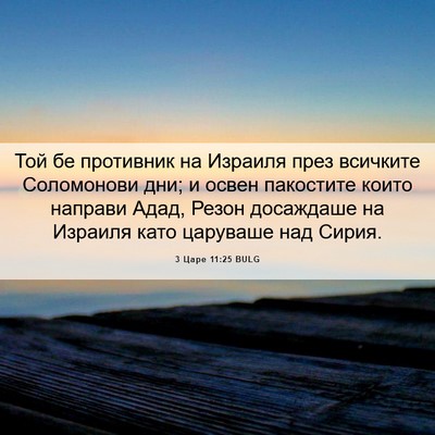 Picture 06 - 3 Царе 11:25 BULG - Той бе противник на - Bible Verse Picture