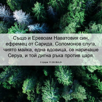 Picture 06 - 3 Царе 11:26 BULG - Също и Еревоам Наватовия - Bible Verse Picture