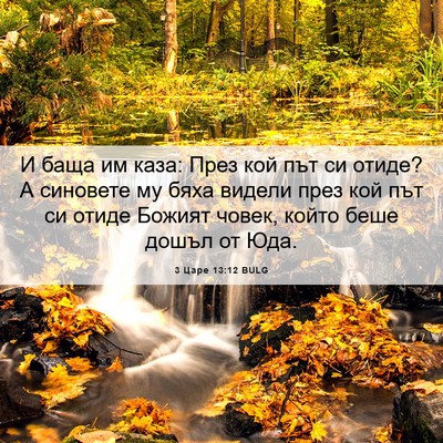Picture 06 - 3 Царе 13:12 BULG - И баща им каза: През кой път - Bible Verse Picture