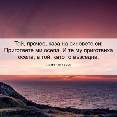Picture 06 - 3 Царе 13:13 BULG - Той, прочее, каза на - Bible Verse Picture