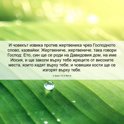Picture 06 - 3 Царе 13:2 BULG - И човекът извика против - Bible Verse Picture