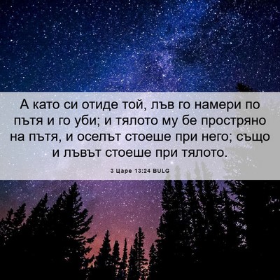 Picture 06 - 3 Царе 13:24 BULG - А като си отиде той, лъв го - Bible Verse Picture