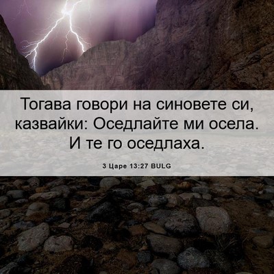 Picture 06 - 3 Царе 13:27 BULG - Тогава говори на синовете - Bible Verse Picture