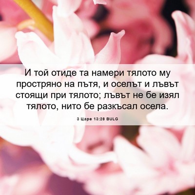 Picture 06 - 3 Царе 13:28 BULG - И той отиде та намери - Bible Verse Picture