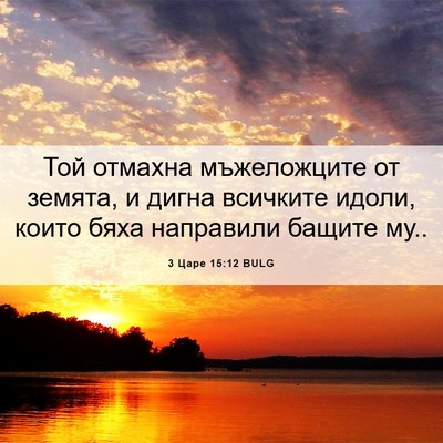 Picture 06 - 3 Царе 15:12 BULG - Той отмахна мъжеложците от - Bible Verse Picture