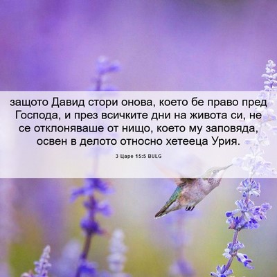 Picture 06 - 3 Царе 15:5 BULG - защото Давид стори онова, - Bible Verse Picture