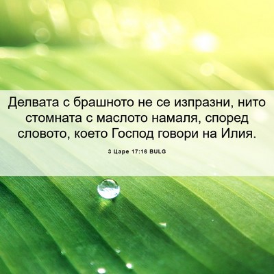 Picture 06 - 3 Царе 17:16 BULG - Делвата с брашното не се - Bible Verse Picture