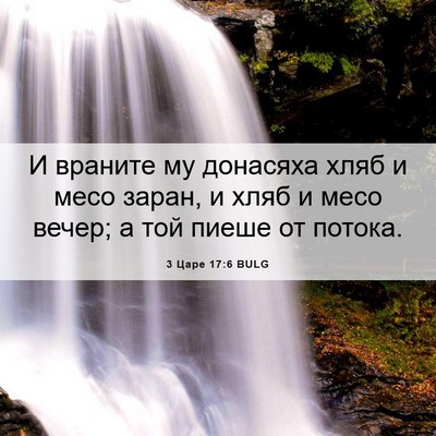 Picture 06 - 3 Царе 17:6 BULG - И враните му донасяха хляб - Bible Verse Picture