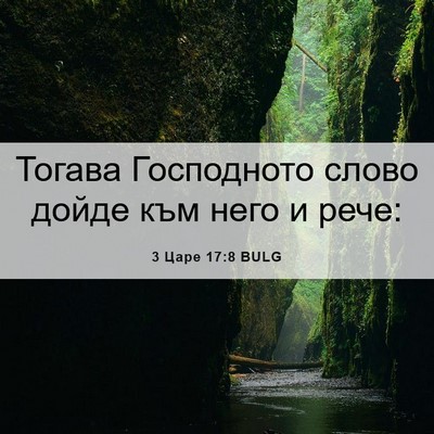 Picture 06 - 3 Царе 17:8 BULG - Тогава Господното слово - Bible Verse Picture