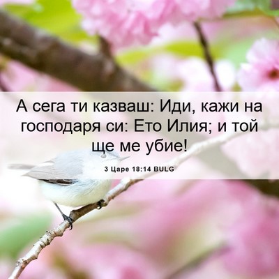 Picture 06 - 3 Царе 18:14 BULG - А сега ти казваш: Иди, кажи - Bible Verse Picture