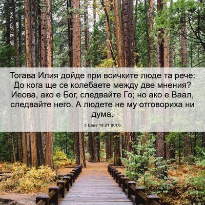 Picture 06 - 3 Царе 18:21 BULG - Тогава Илия дойде при - Bible Verse Picture