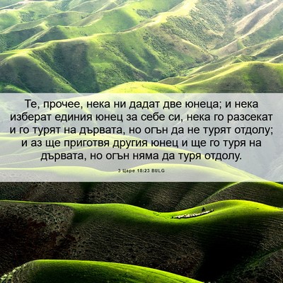 Picture 06 - 3 Царе 18:23 BULG - Те, прочее, нека ни дадат - Bible Verse Picture