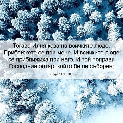 Picture 06 - 3 Царе 18:30 BULG - Тогава Илия каза на - Bible Verse Picture