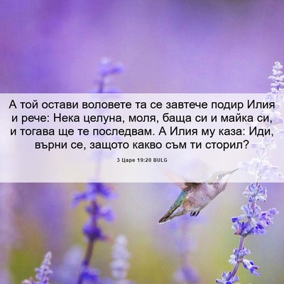 Picture 06 - 3 Царе 19:20 BULG - А той остави воловете та се - Bible Verse Picture
