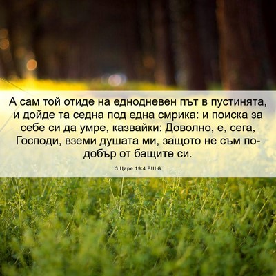 Picture 06 - 3 Царе 19:4 BULG - А сам той отиде на - Bible Verse Picture