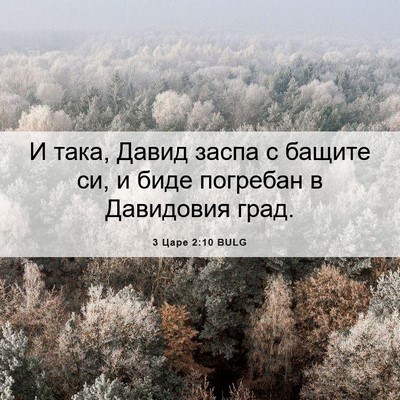 Picture 06 - 3 Царе 2:10 BULG - И така, Давид заспа с - Bible Verse Picture