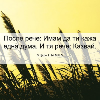Picture 06 - 3 Царе 2:14 BULG - После рече: Имам да ти кажа - Bible Verse Picture