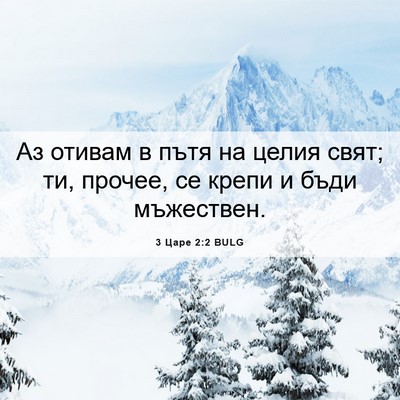 Picture 06 - 3 Царе 2:2 BULG - Аз отивам в пътя на целия - Bible Verse Picture