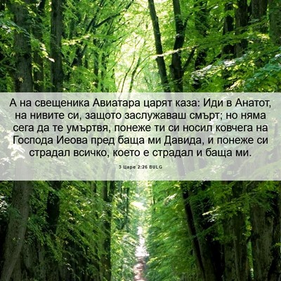 Picture 06 - 3 Царе 2:26 BULG - А на свещеника Авиатара - Bible Verse Picture