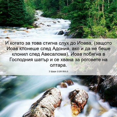 Picture 06 - 3 Царе 2:28 BULG - И когато за това стигна - Bible Verse Picture