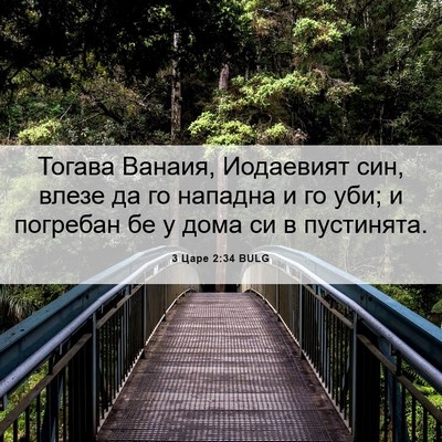 Picture 06 - 3 Царе 2:34 BULG - Тогава Ванаия, Иодаевият - Bible Verse Picture