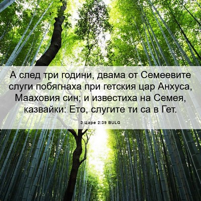Picture 06 - 3 Царе 2:39 BULG - А след три години, двама от - Bible Verse Picture