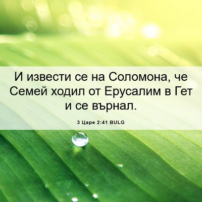 Picture 06 - 3 Царе 2:41 BULG - И извести се на Соломона, - Bible Verse Picture