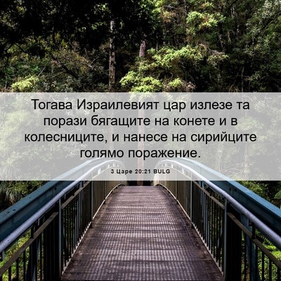 Picture 06 - 3 Царе 20:21 BULG - Тогава Израилевият цар - Bible Verse Picture