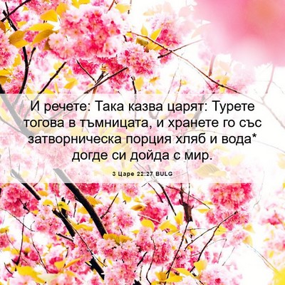 Picture 06 - 3 Царе 22:27 BULG - И речете: Така казва царят: - Bible Verse Picture