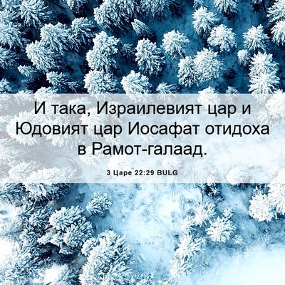 Picture 06 - 3 Царе 22:29 BULG - И така, Израилевият цар и - Bible Verse Picture