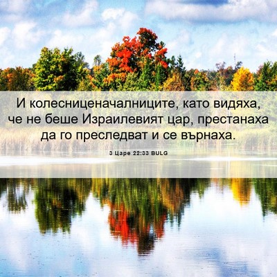 Picture 06 - 3 Царе 22:33 BULG - И колесниценачалниците, - Bible Verse Picture