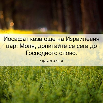 Picture 06 - 3 Царе 22:5 BULG - Иосафат каза още на - Bible Verse Picture