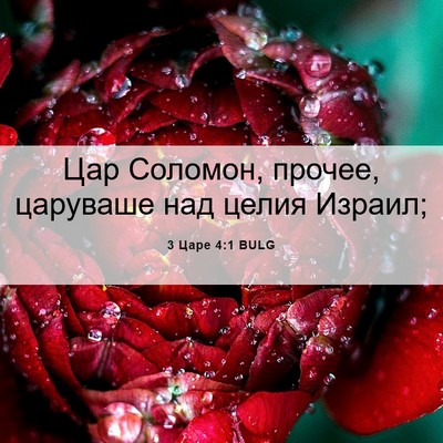 Picture 06 - 3 Царе 4:1 BULG - Цар Соломон, прочее, - Bible Verse Picture