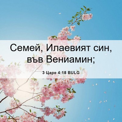Picture 06 - 3 Царе 4:18 BULG - Семей, Илаевият син, във - Bible Verse Picture