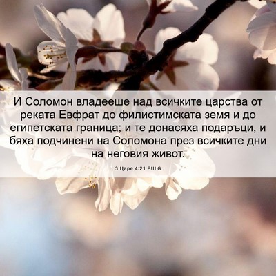 Picture 06 - 3 Царе 4:21 BULG - И Соломон владееше над - Bible Verse Picture