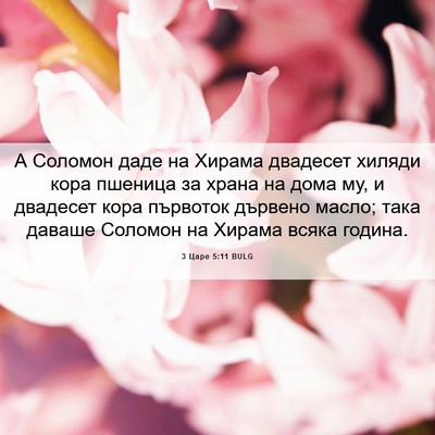 Picture 06 - 3 Царе 5:11 BULG - А Соломон даде на Хирама - Bible Verse Picture