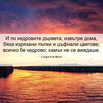 Picture 06 - 3 Царе 6:18 BULG - И по кедровите дървета, - Bible Verse Picture