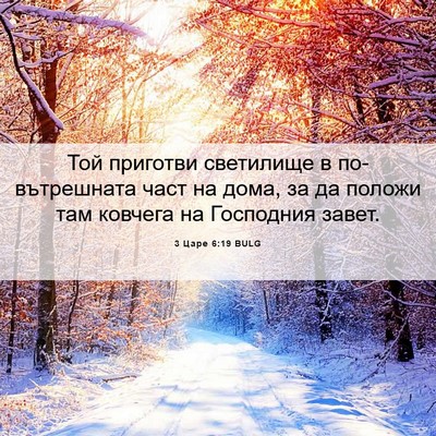 Picture 06 - 3 Царе 6:19 BULG - Той приготви светилище в - Bible Verse Picture