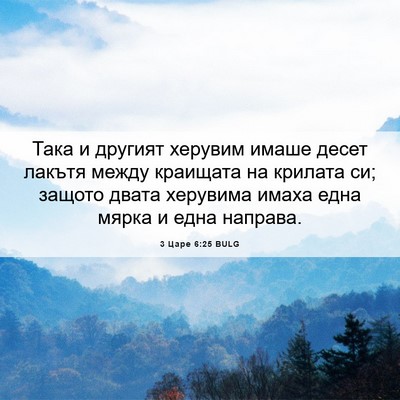 Picture 06 - 3 Царе 6:25 BULG - Така и другият херувим - Bible Verse Picture