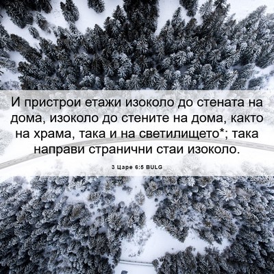 Picture 06 - 3 Царе 6:5 BULG - И пристрои етажи изоколо - Bible Verse Picture
