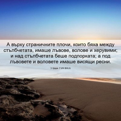 Picture 06 - 3 Царе 7:29 BULG - А върху страничните плочи, - Bible Verse Picture