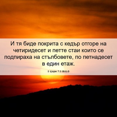Picture 06 - 3 Царе 7:3 BULG - И тя биде покрита с кедър - Bible Verse Picture