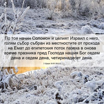 Picture 06 - 3 Царе 8:65 BULG - По тоя начин Соломон и - Bible Verse Picture