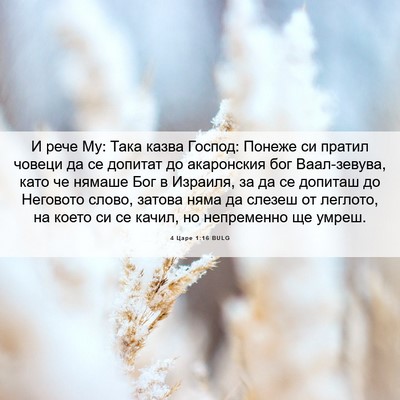 Picture 06 - 4 Царе 1:16 BULG - И рече Му: Така казва - Bible Verse Picture