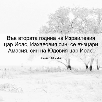 Picture 06 - 4 Царе 14:1 BULG - Във втората година на - Bible Verse Picture