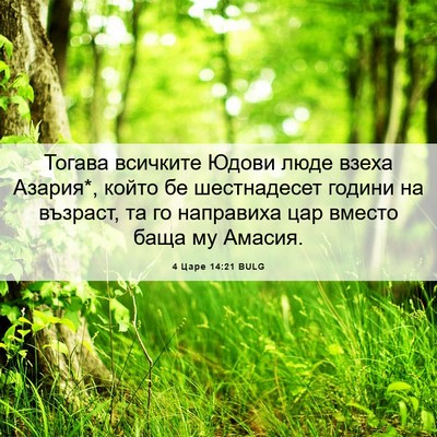 Picture 06 - 4 Царе 14:21 BULG - Тогава всичките Юдови люде - Bible Verse Picture