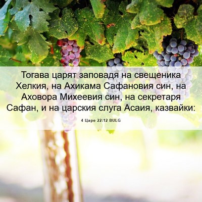 Picture 06 - 4 Царе 22:12 BULG - Тогава царят заповадя на - Bible Verse Picture