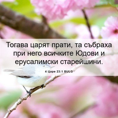 Picture 06 - 4 Царе 23:1 BULG - Тогава царят прати, та - Bible Verse Picture