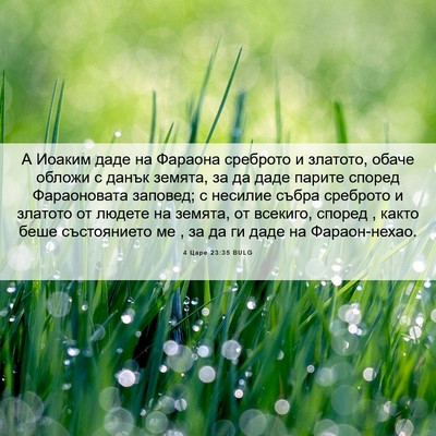 Picture 06 - 4 Царе 23:35 BULG - А Иоаким даде на Фараона - Bible Verse Picture